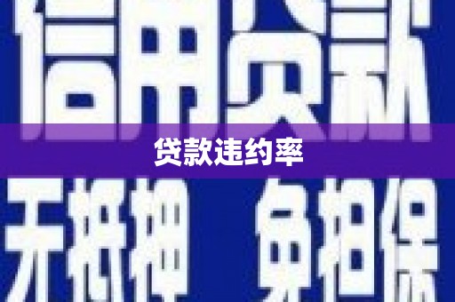 源城贷款违约率