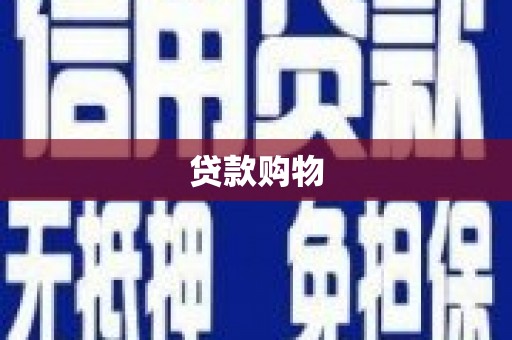 聂荣贷款购物