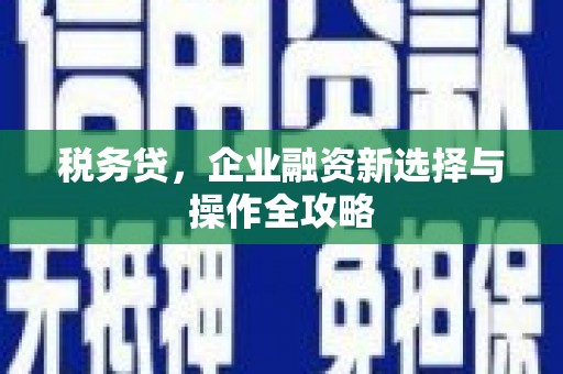 忻府税务贷，企业融资新选择与操作全攻略