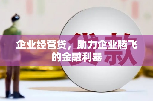 东乡族企业经营贷，助力企业腾飞的金融利器
