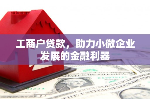漯河工商户贷款，助力小微企业发展的金融利器