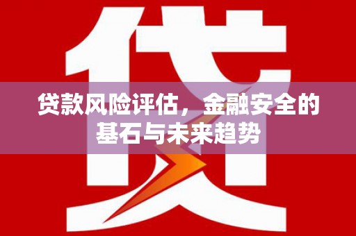 卓尼贷款风险评估，金融安全的基石与未来趋势