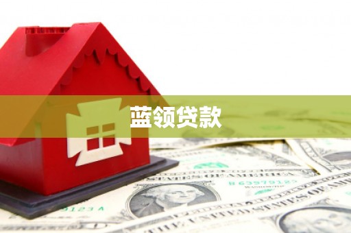 柳东蓝领贷款