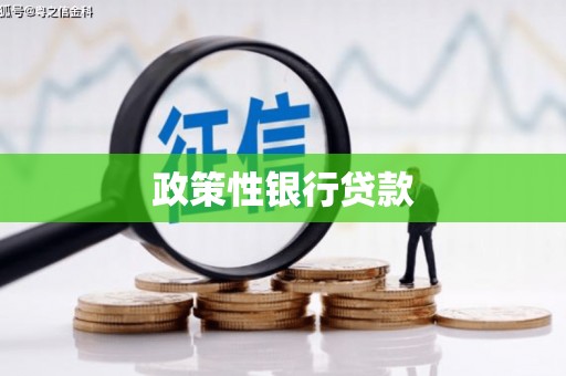 岳阳楼政策性银行贷款