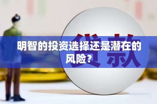 光山明智的投资选择还是潜在的风险？