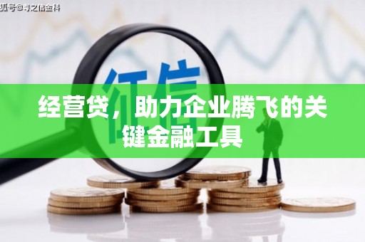剑阁经营贷，助力企业腾飞的关键金融工具