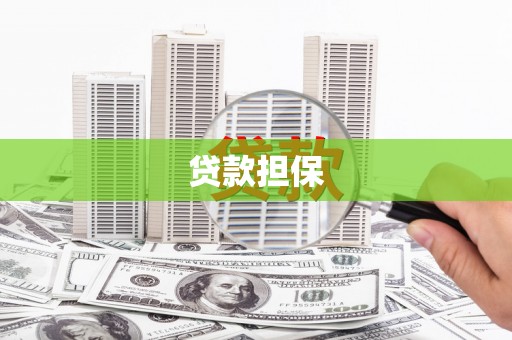 七星贷款担保