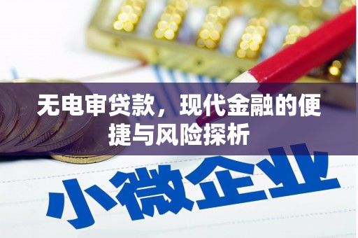 南康无电审贷款，现代金融的便捷与风险探析