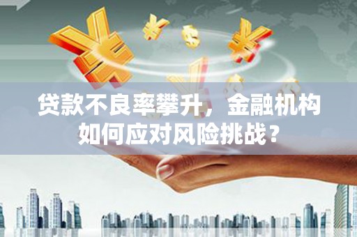 阜城贷款不良率攀升，金融机构如何应对风险挑战？