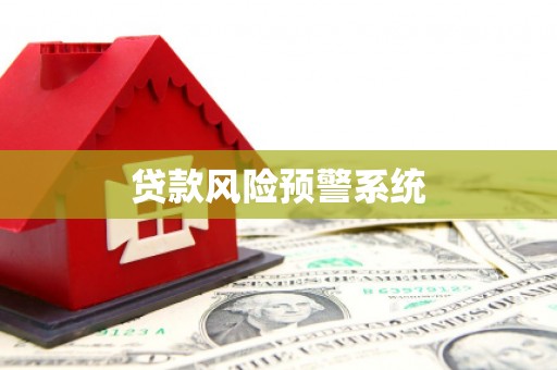沙洋贷款风险预警系统