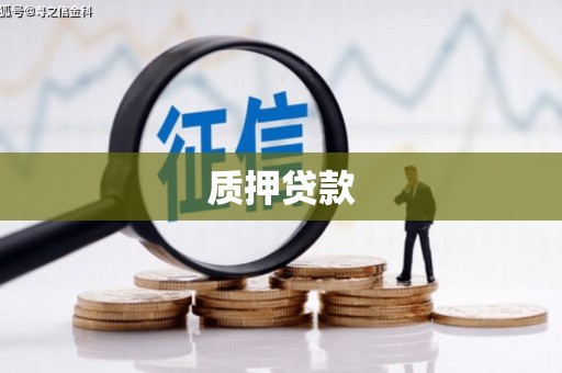 定海质押贷款