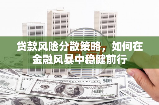 光明新区贷款风险分散策略，如何在金融风暴中稳健前行