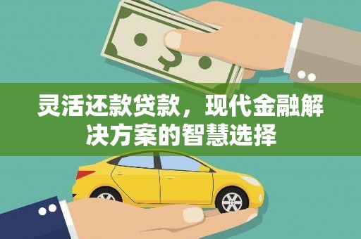 阜阳灵活还款贷款，现代金融解决方案的智慧选择