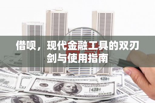 康马借呗，现代金融工具的双刃剑与使用指南