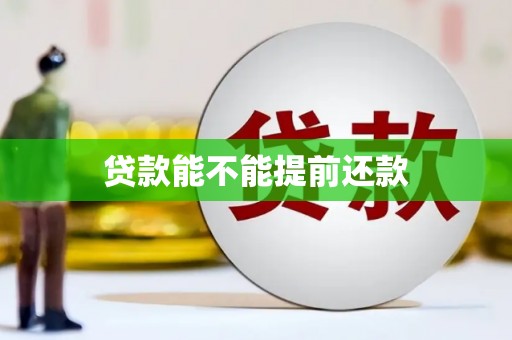 罗东贷款能不能提前还款