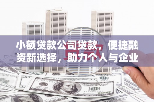 高埗小额贷款公司贷款，便捷融资新选择，助力个人与企业成长