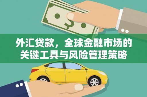 洛扎外汇贷款，全球金融市场的关键工具与风险管理策略