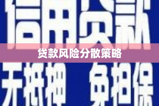 宁夏贷款风险分散策略