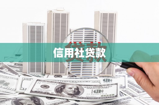 禄劝信用社贷款