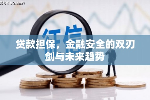 丘北贷款担保，金融安全的双刃剑与未来趋势