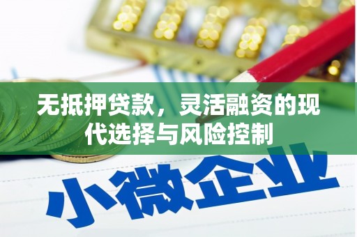 田林无抵押贷款，灵活融资的现代选择与风险控制