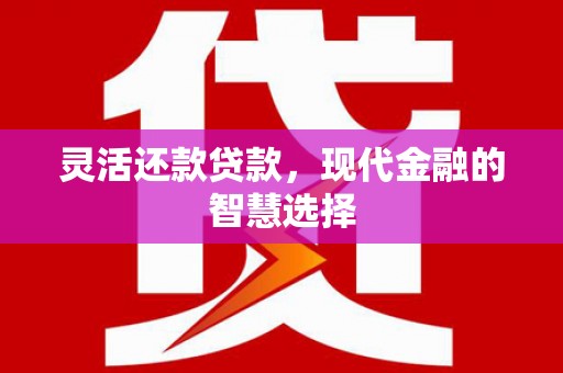 双台子灵活还款贷款，现代金融的智慧选择