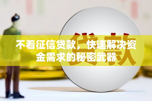 西华不看征信贷款，快速解决资金需求的秘密武器
