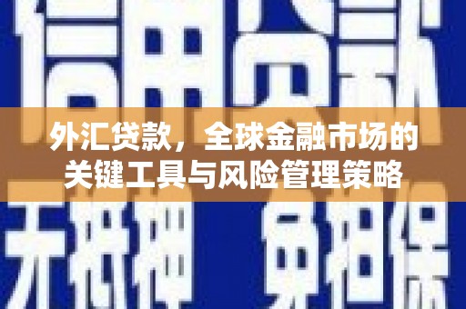 汕尾外汇贷款，全球金融市场的关键工具与风险管理策略