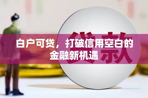 盐源白户可贷，打破信用空白的金融新机遇