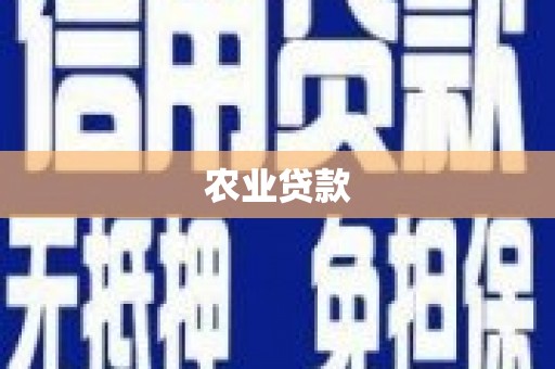 巩义农业贷款