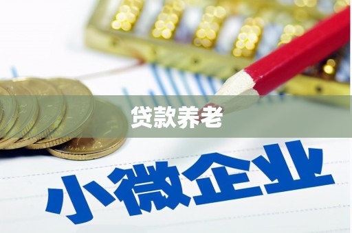 文昌贷款养老