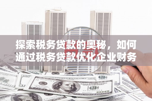 木兰探索税务贷款的奥秘，如何通过税务贷款优化企业财务