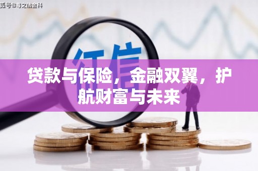 后壁贷款与保险，金融双翼，护航财富与未来