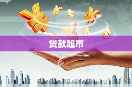 芦淞贷款超市