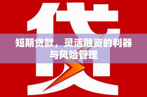 芗城短期贷款，灵活融资的利器与风险管理
