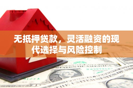 惠东无抵押贷款，灵活融资的现代选择与风险控制
