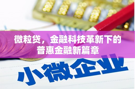 外埔微粒贷，金融科技革新下的普惠金融新篇章