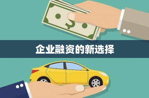 金湾企业融资的新选择