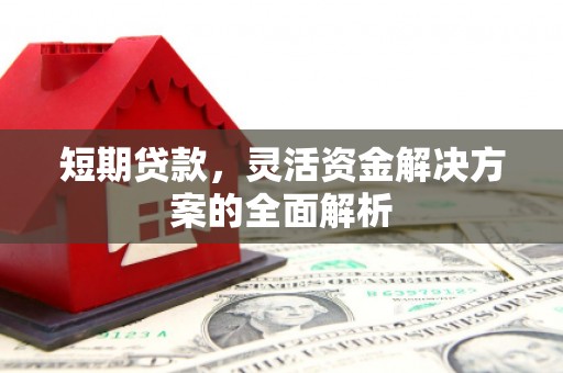 新界短期贷款，灵活资金解决方案的全面解析