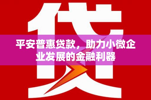 江源平安普惠贷款，助力小微企业发展的金融利器