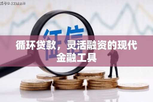 长涂循环贷款，灵活融资的现代金融工具