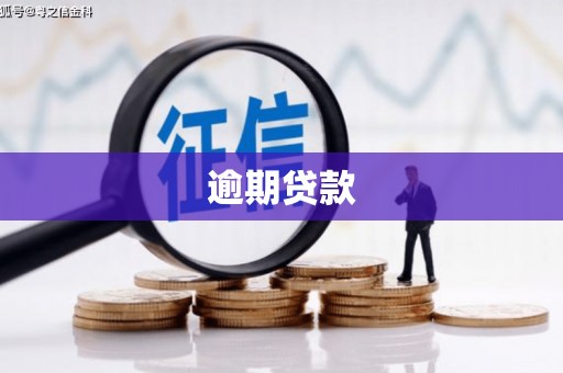 板芙逾期贷款