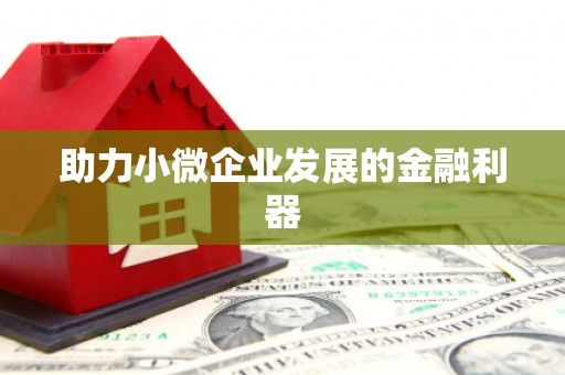 勉县助力小微企业发展的金融利器