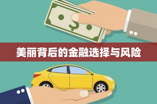 瑞昌美丽背后的金融选择与风险