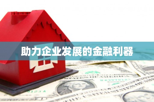 新洲助力企业发展的金融利器