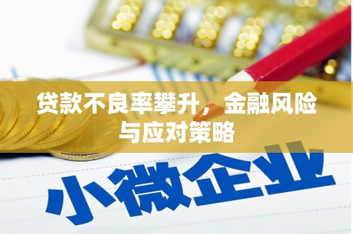 凤泉贷款不良率攀升，金融风险与应对策略